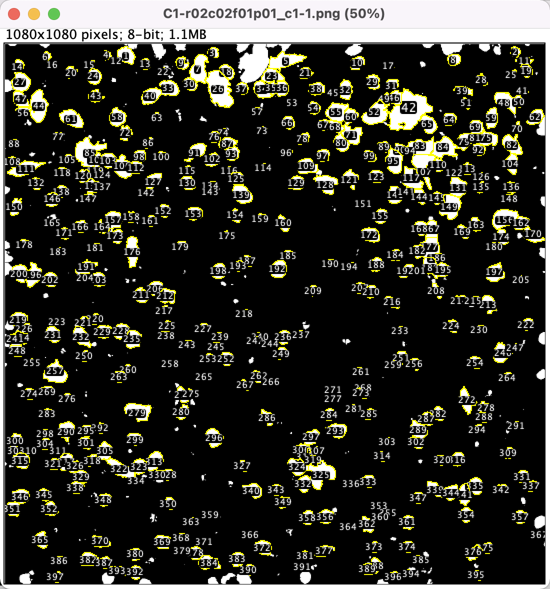 image-20220824164306343