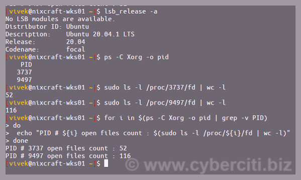 Ubuntu Linux List Open Files for Process Bash Command