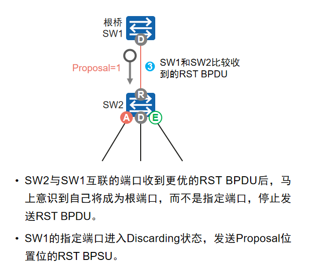 通过BPDU确定互联端口角色