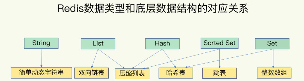 image-20220511192453348