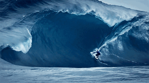 a54f4abd1202d4be73afc87e4cf68802.gif