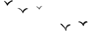 a552268f1cc640a495a7926ae89729ee.png