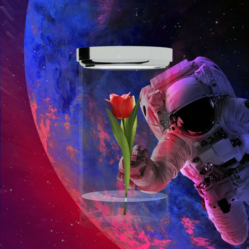 守护太空种子数字藏品首发,太空玫瑰浪漫上线!