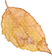 a57f7513a5422c9c79c43e58d07cfb55.png