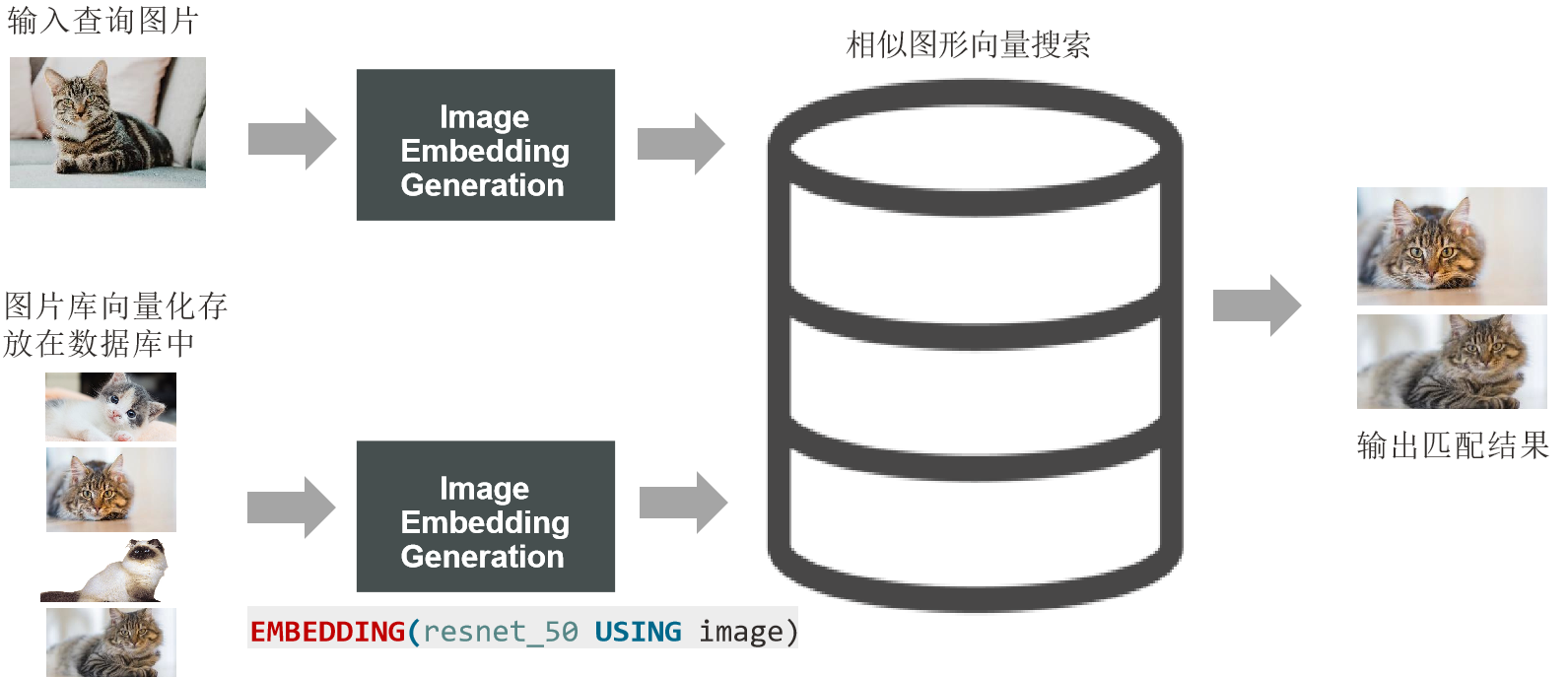 数据库管理-第152期 Oracle Vector DB  AI-04（20240220）