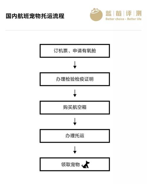 怎么开托运公司,开托运公司需要哪些流程