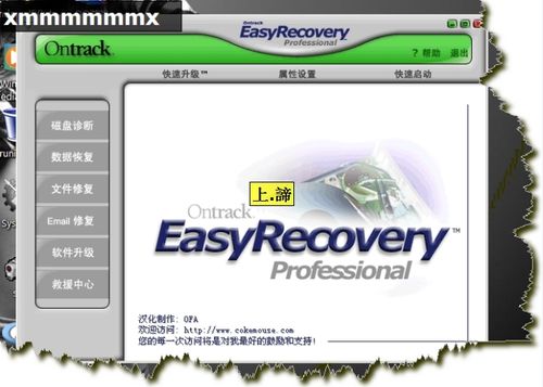 EasyRecovery data recovery software (illustrated usage tutorial)