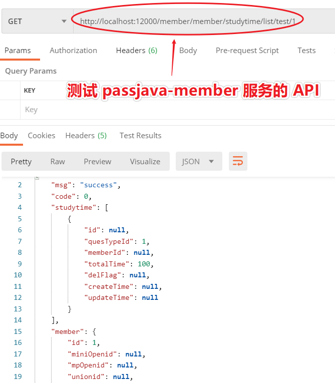 测试 Passjava-member 服务的 API