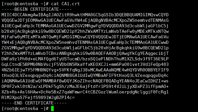 openssl查看证书公钥 openssl 验证证书和密钥_ca openssl_04