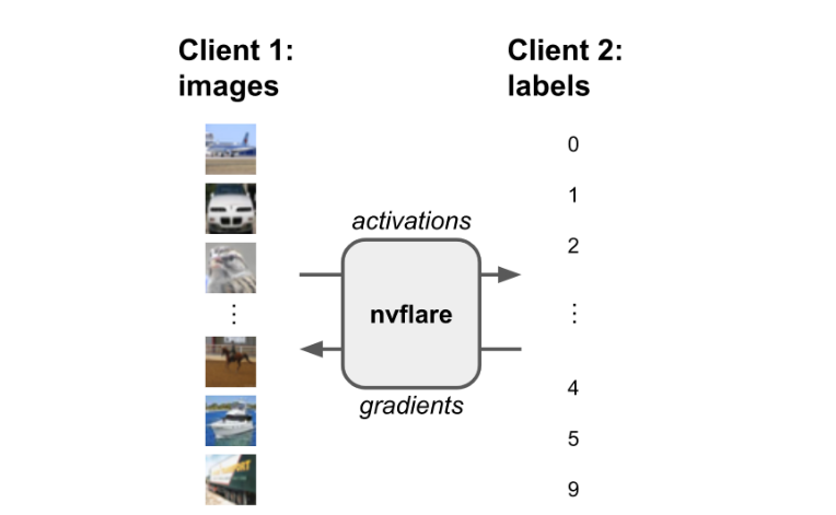 Diagram showing data and labels being split across different clients to keep sensitive information confidential, with ‘Client 1: Images’ on the left and ‘Client 2: Labels’ on the right.