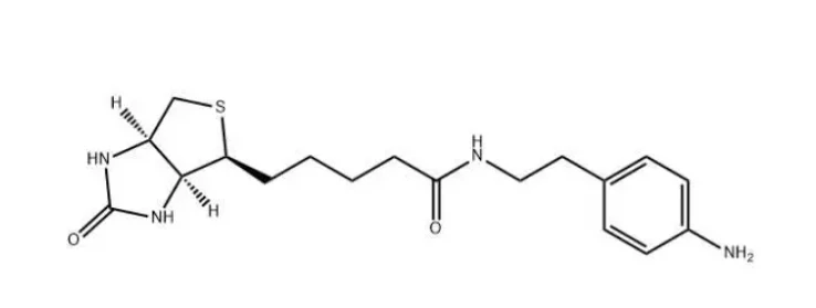 769933-<span style='color:red;'>15</span>-5，Biotin aniline，<span style='color:red;'>用</span>来<span style='color:red;'>标记</span>和检测细胞膜<span style='color:red;'>上</span><span style='color:red;'>的</span>特定蛋白质