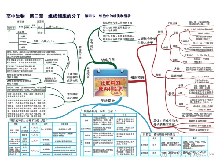 導數與微分的知識點思維導圖高中生物思維導圖知識點總結