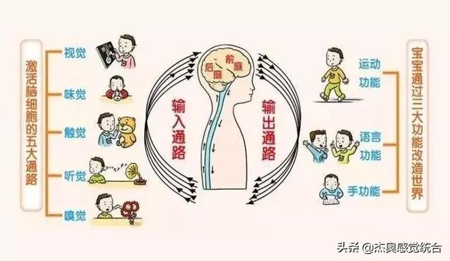 怎样训练左右手协调 玩中刺激智力发育 20个感统训练游戏 全面提升孩子各项学习力 Jon Sco的博客 Csdn博客