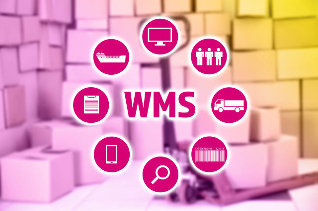 WMS system