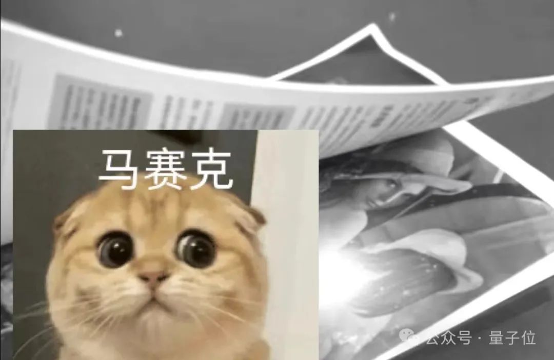 计算机视觉女神被ieee期刊封杀了