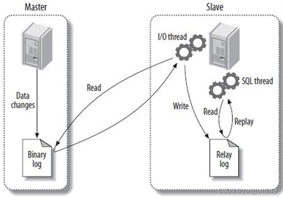 mysql