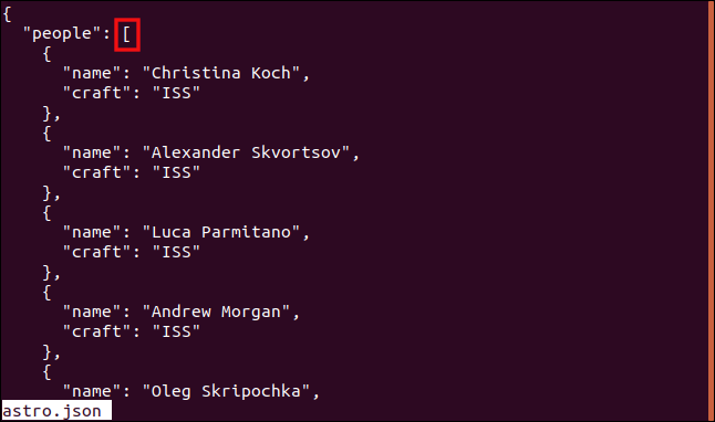 Output from "less astros.json" in a terminal window.