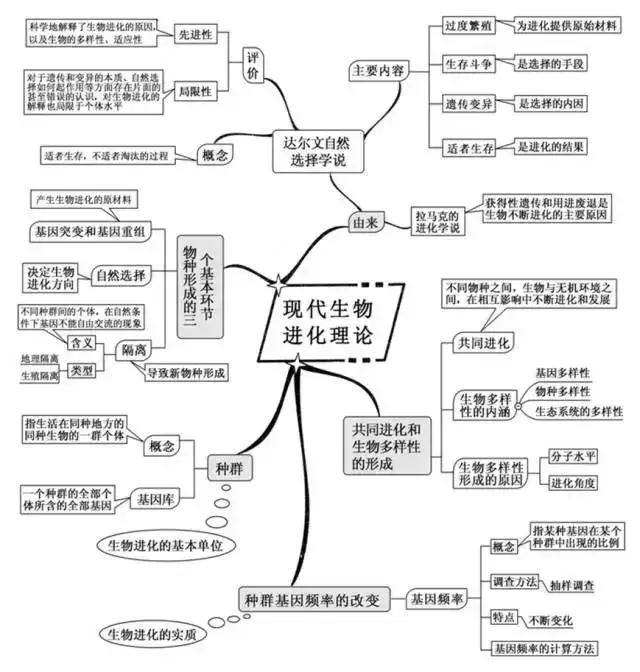 初二生態系統思維導圖生物篇一份整理好的高考知識思維導圖送給備戰