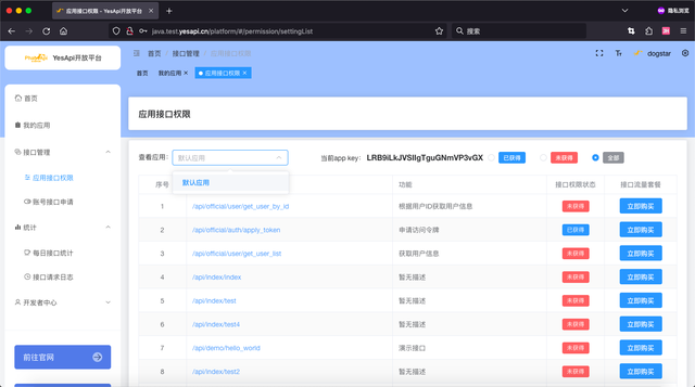【国产化软件】接口开放平台：Java+Swagger+Vue3，适配移动端_开发者_06