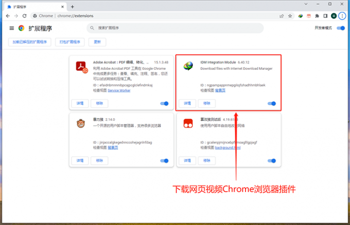 Chrome浏览器扩展程序界面