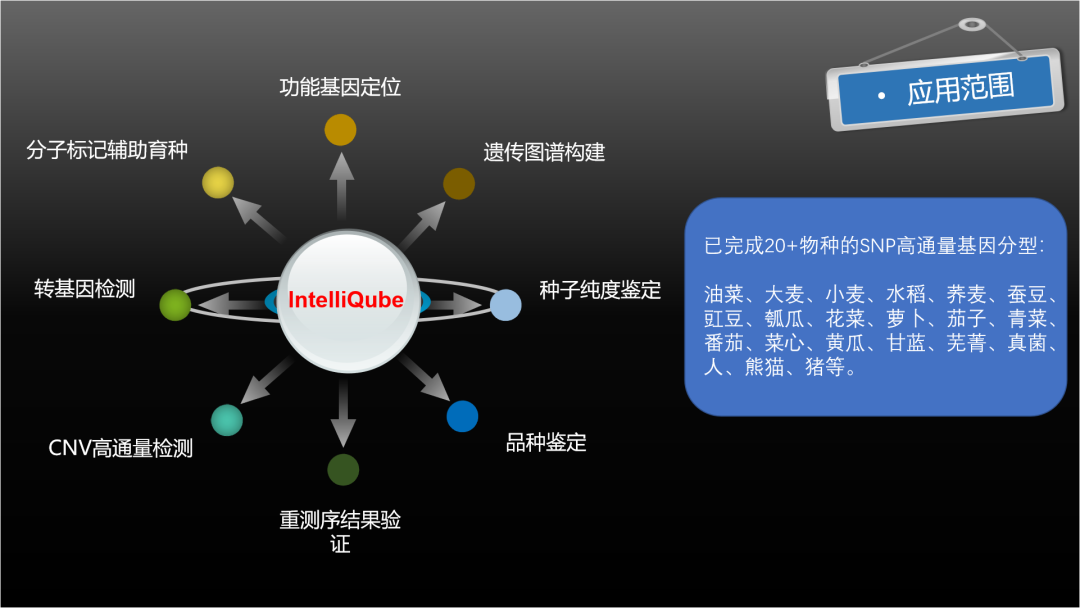 a773a4d019e829c9712086300bb2c91f.png