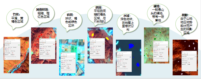 2021遥感应用组二等奖：基于多源遥感数据的武夷山毛竹林提取研究及扩张特征分析