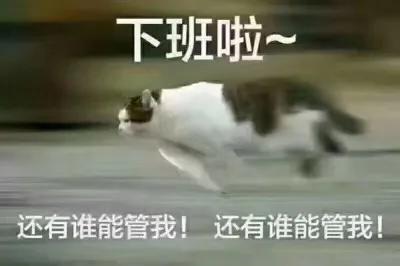 a7a94db4edfe987e5003f87de8f13eaa.png
