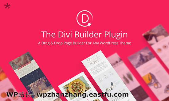 Divi Builder Ϸ WordPress ҳ