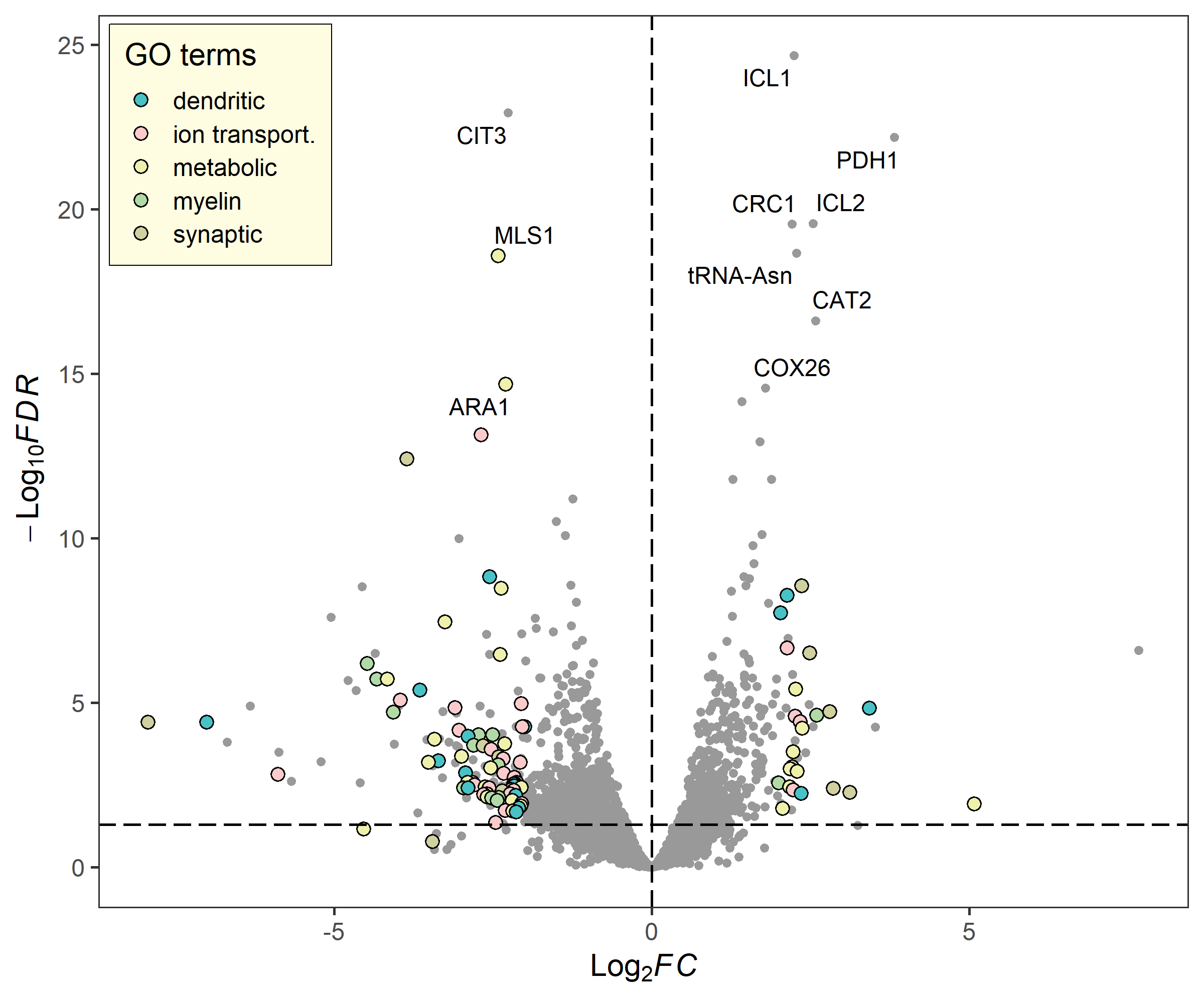 term_volcano_1