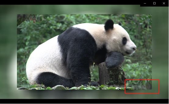 “掌握技巧：轻松为视频批量添加文字水印“