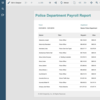 Fast .NET Reporting EngineQuickly read records from the data source and immediately render them to the output device.