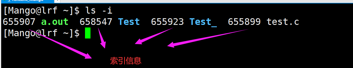 image-20220224203454178