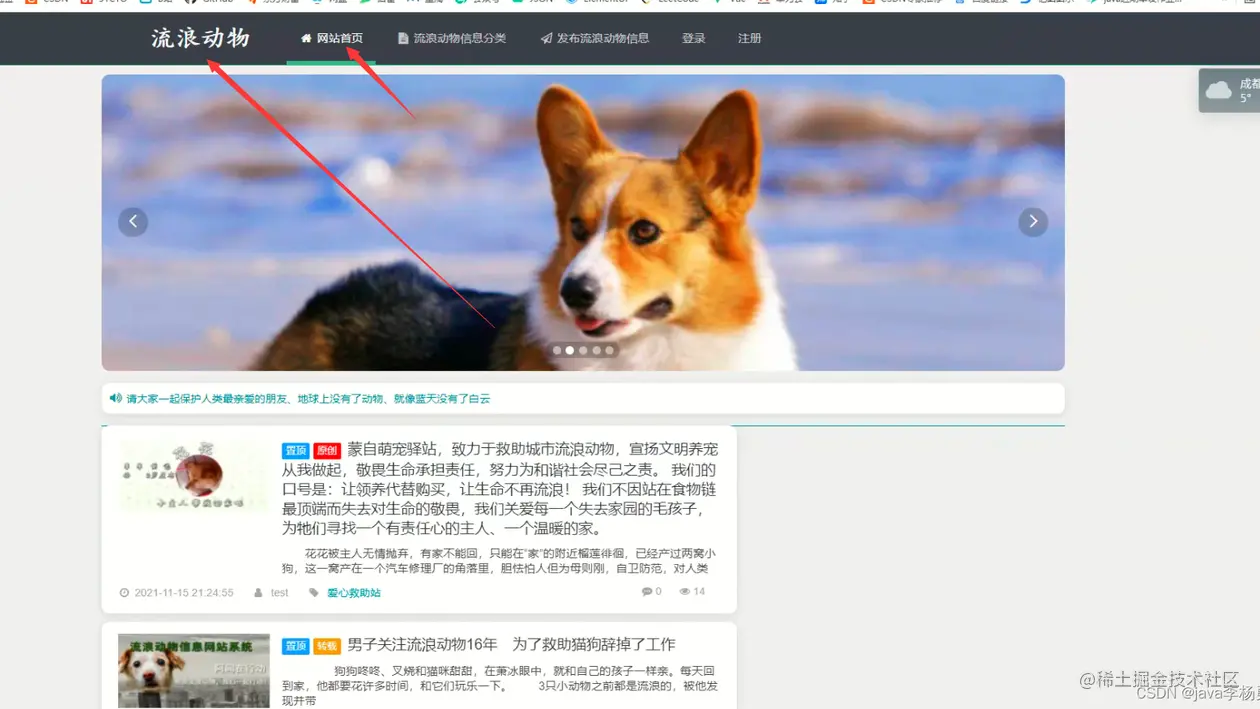 基于java+springboot+layui的流浪动物交流信息平台设计实现