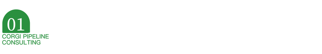 （<span style='color:red;'>十</span>六）<span style='color:red;'>上市</span><span style='color:red;'>企业</span><span style='color:red;'>实施</span><span style='color:red;'>IPD</span><span style='color:red;'>成功</span><span style='color:red;'>案例</span><span style='color:red;'>分享</span><span style='color:red;'>之</span>——华为