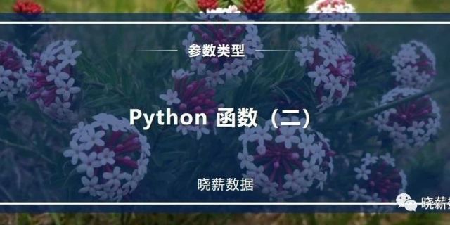 yii2 调用未定义函数_Python 函数（三） 使用规则