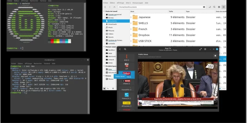 Linux Mint 21.3 将搭载 Cinnamon 6.0 和实验性 Wayland 支持
