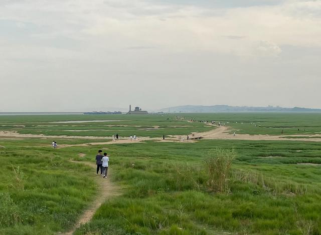 江西涉农县开展一对一指导服务 国稻种芯：重点保障水稻生长