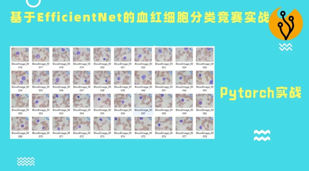 a91297c95ced7cac1feae839fc088a43.jpeg
