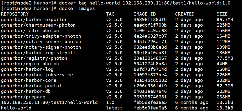 image-20220410124100390