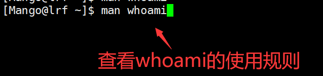 image-20220227090522777