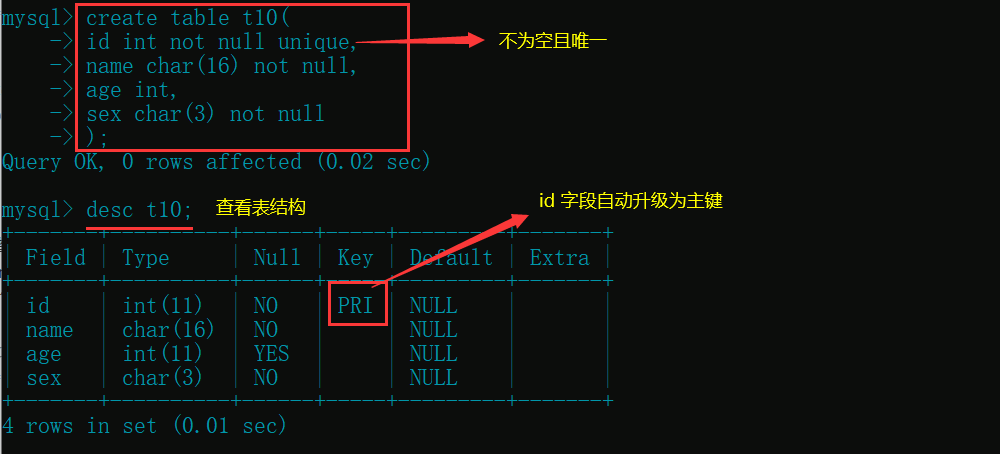 image-20210201093710163