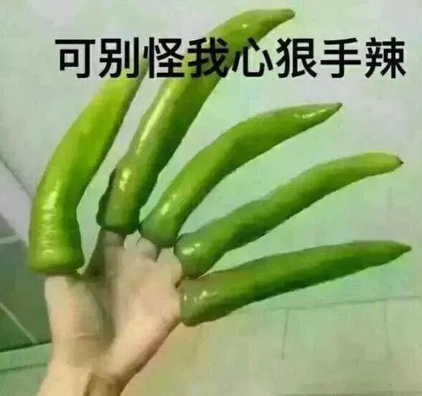 茄子针不戳图片