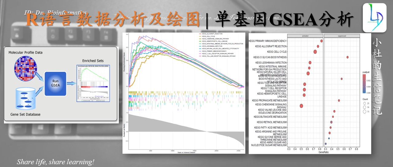 本期教程