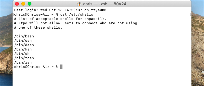 Listing available shells in macOS Catalina's terminal.