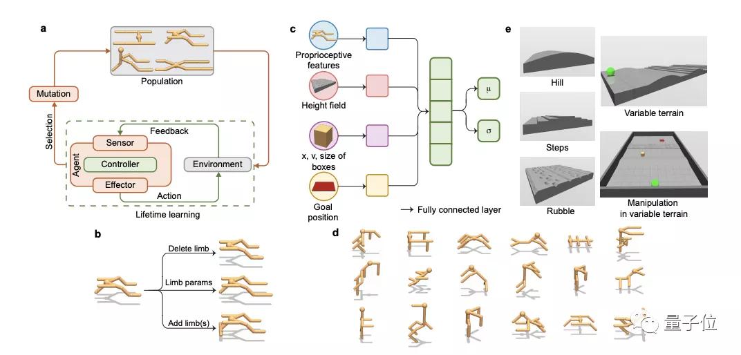 Li Feifei’s team gets AI new ideas from animals and proposes an RL calculation framework