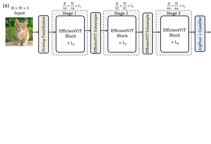 efficientvit_main