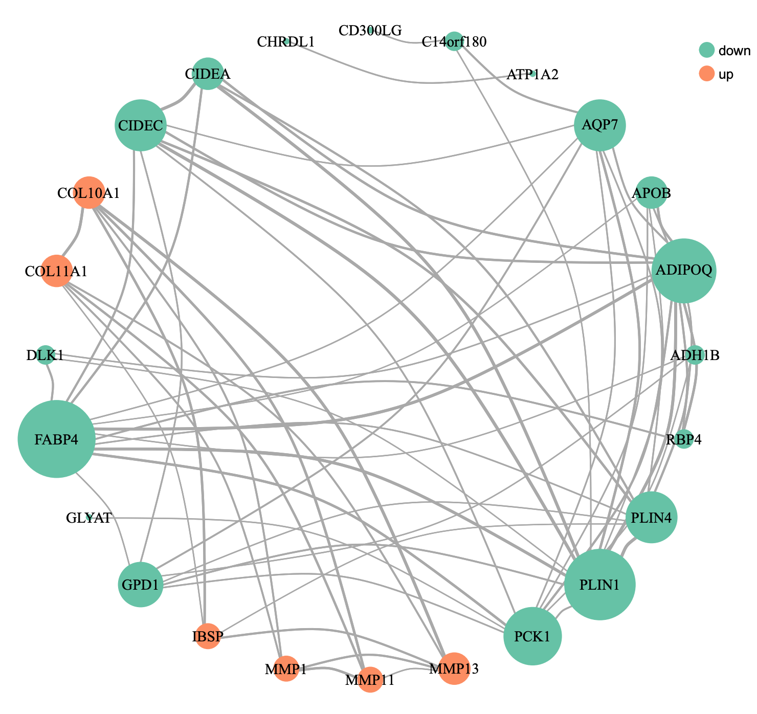 R高级绘图 | 不用 Cytoscape 也能绘制精美的蛋白互作（PPI）网络图啦！| STRING 网站 + R 代码