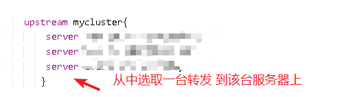 image-20220209220445665