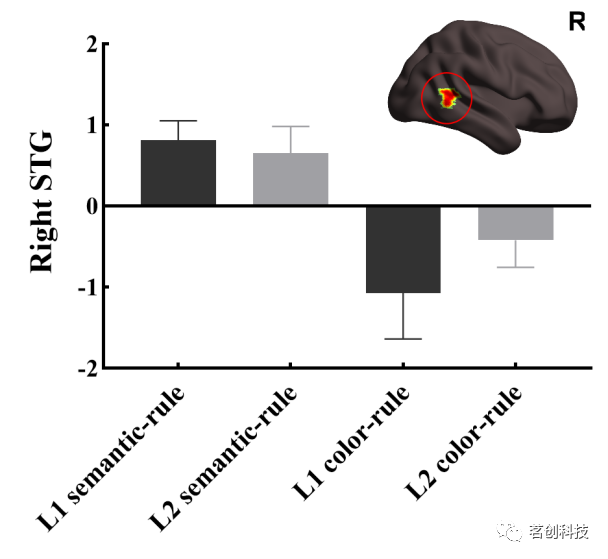 NeuroImage | 右侧颞上回在语义规则学习中的作用：来自强化学习模型的证据