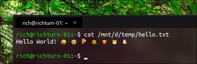 新的Windows Terminal应用程序显示表情符号